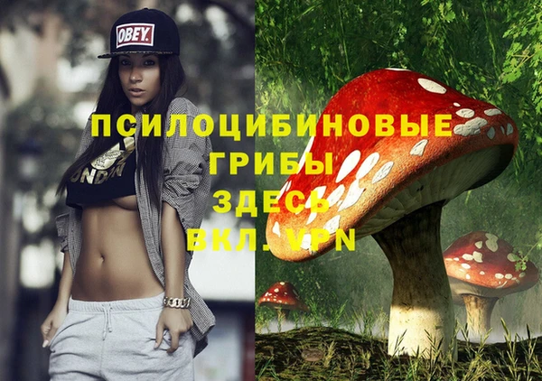 индика Алзамай