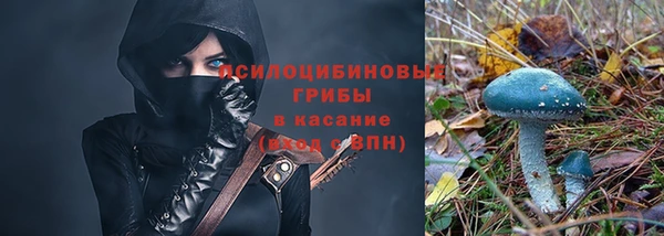 индика Алзамай