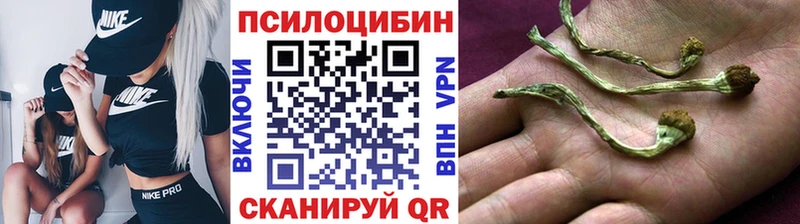 купить закладку  Жердевка  Псилоцибиновые грибы ЛСД 
